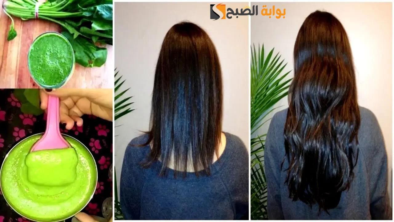 شعرك هيطول للركب .. مجزة ربانية وصفة الجرجير مع زيت جوز الهند لتطويل الشعر 10 سم في أقل من شهر " هيفتكروكي هندية"