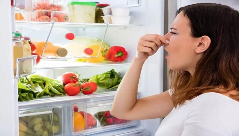 47 180746 how remove bad smell refrigerator 700x400 1