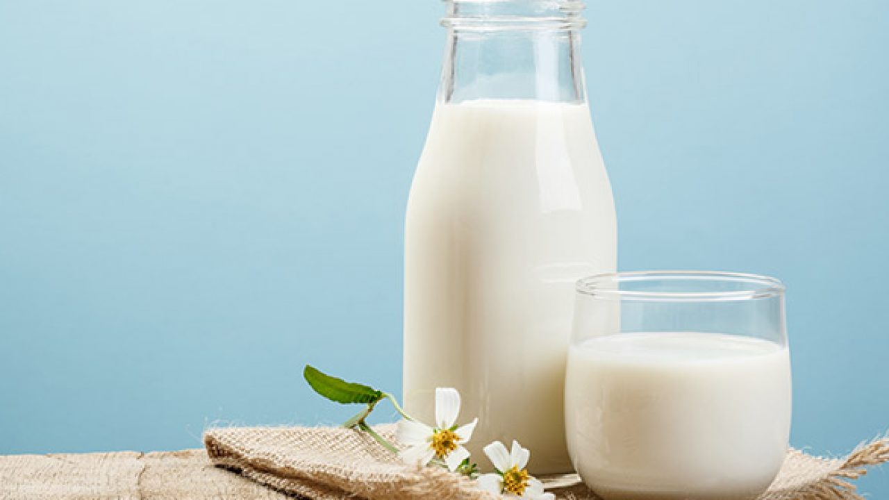 صحتك أهم ماذا يحدث فى جسمك عندما تشرب الحليب كل يوم؟