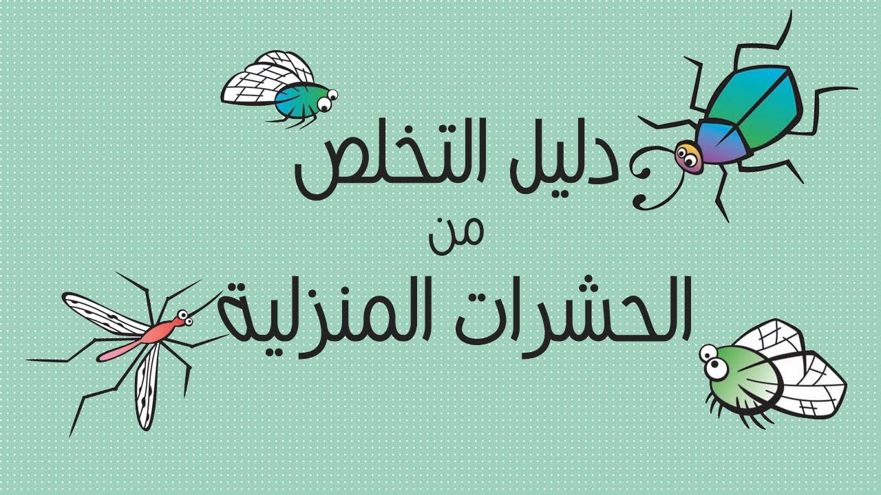 6 نصائح للقضاء على الحشرات المنزلية