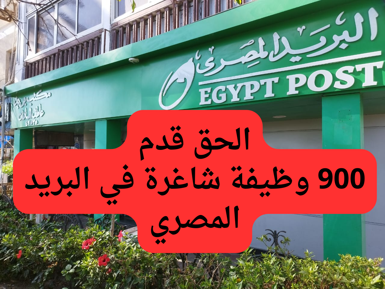 وظائف البريد المصري 2024