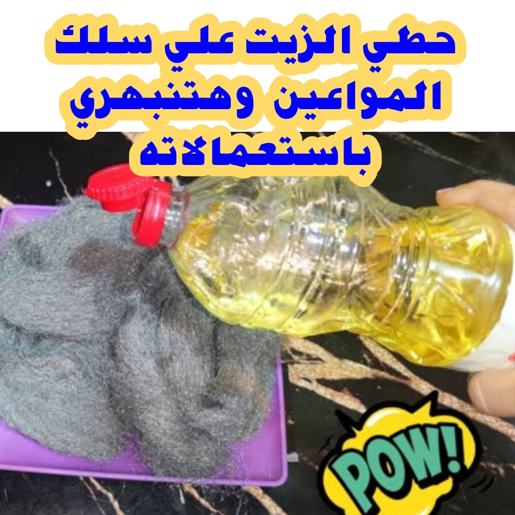 IMG 20230930 WA0063 1