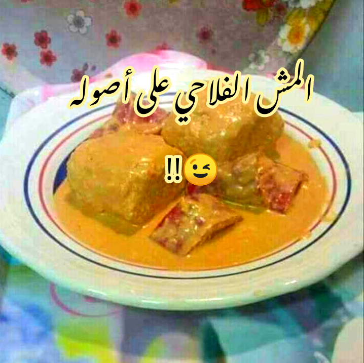 IMG 20240126 124001