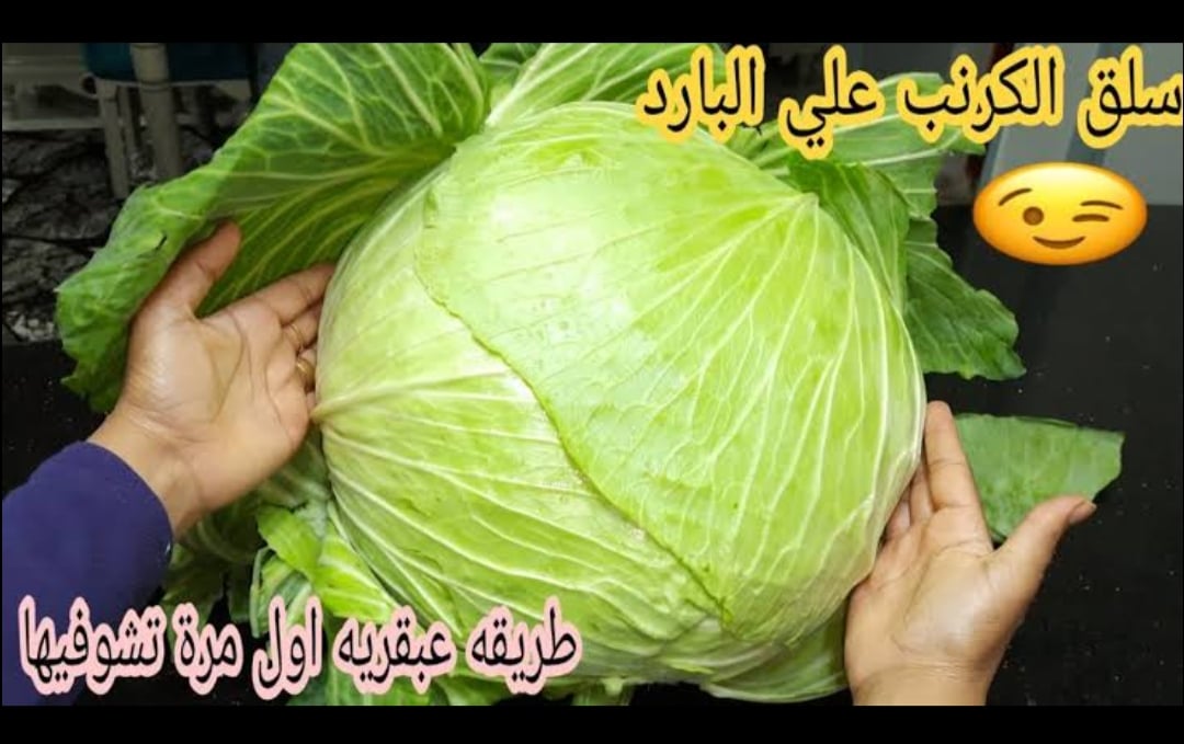 IMG ٢٠٢٣٠٩٢٧ ٢٠٥٩٤٢ 2