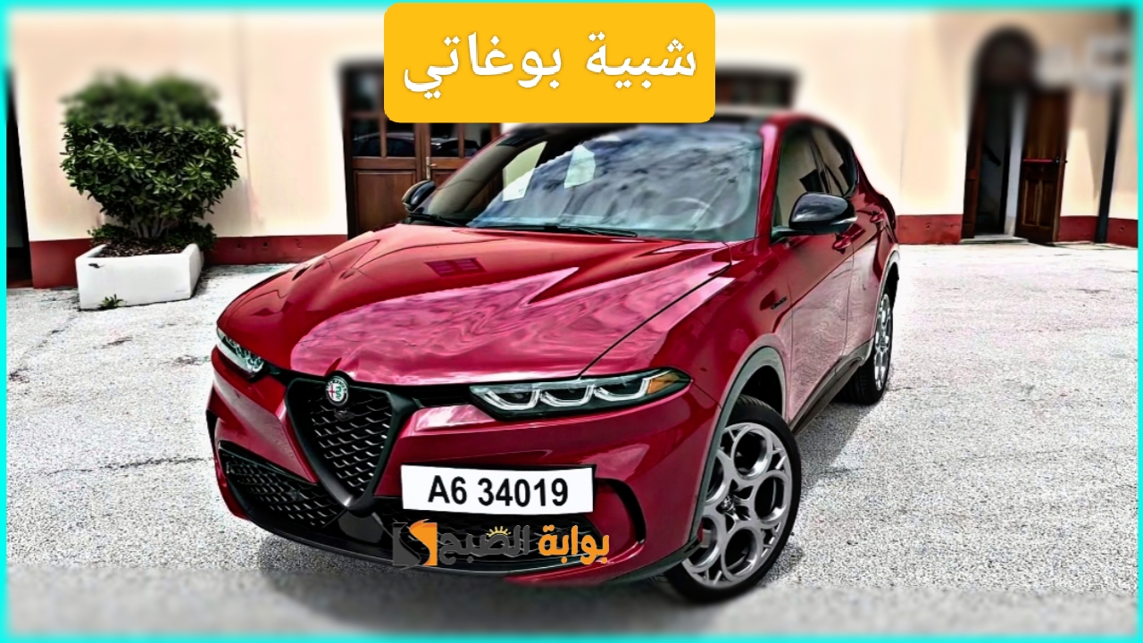 IMG ٢٠٢٤٠١٠٨ ٠١٢٨١٨