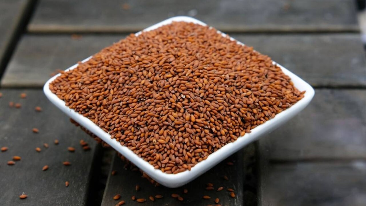 وصفة بذور الرشاد للبشرة