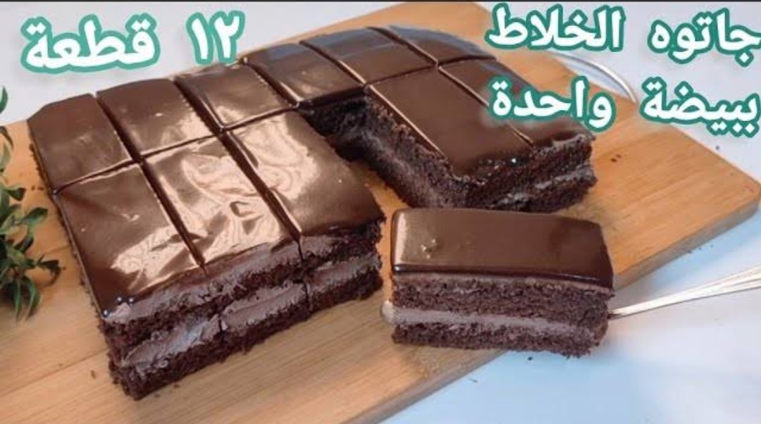 IMG ٢٠٢٤٠١١٣ ٠٣٣٣٣٤