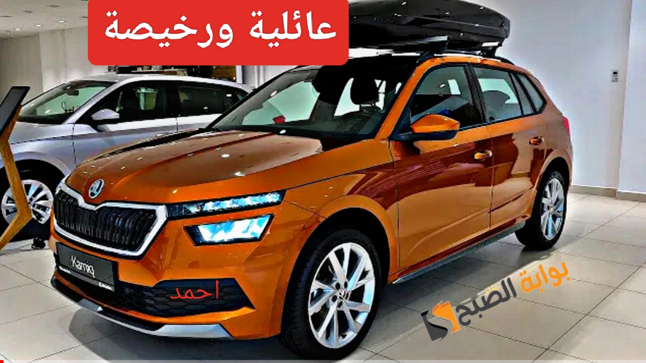 IMG ٢٠٢٤٠١١٧ ٠٠٠٢٢١