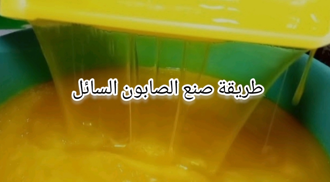 IMG ٢٠٢٤٠١٢٤ ٢٢٤٠٠٤