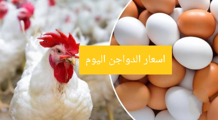 IMG ٢٠٢٤٠١٢٧ ١١٥٩٢٩