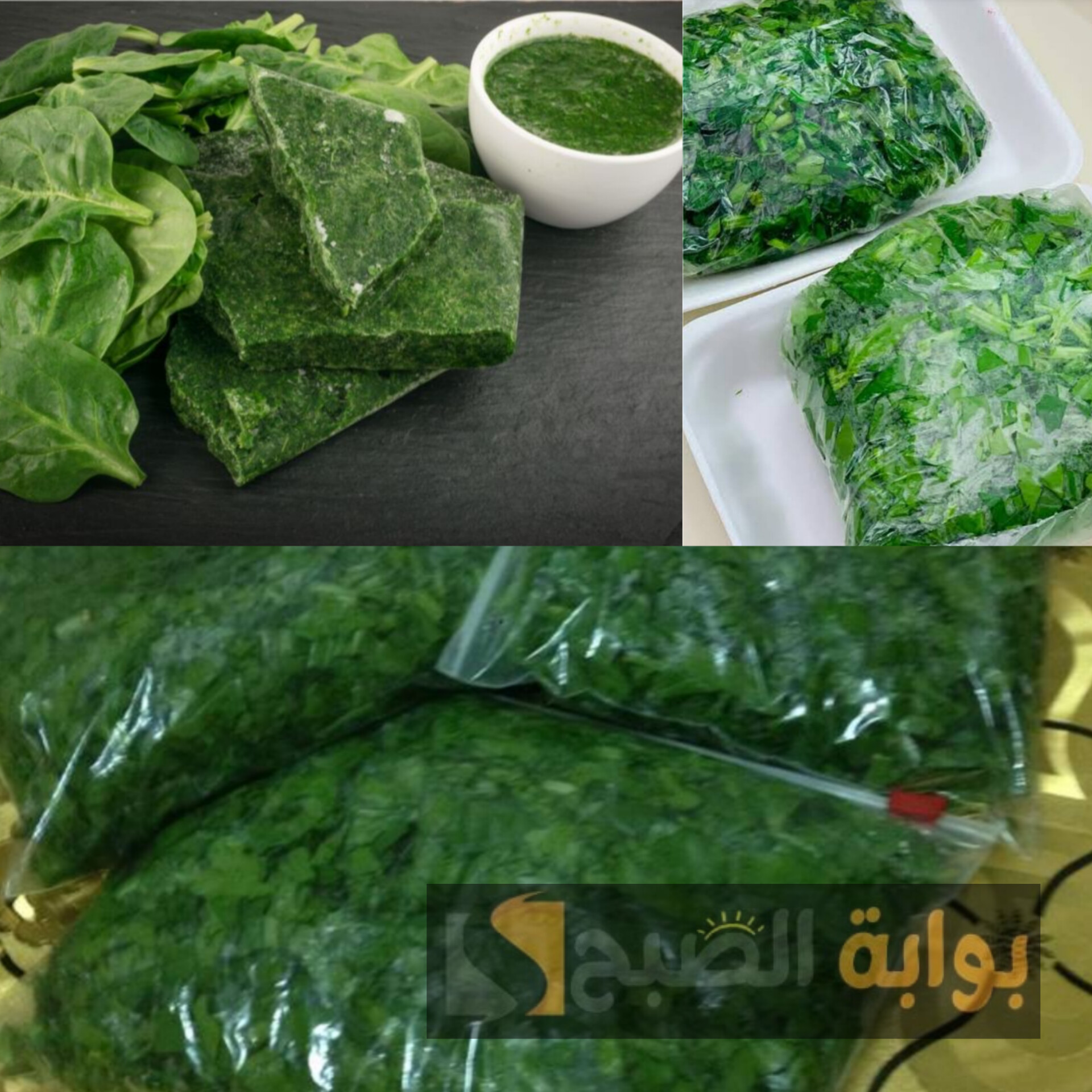 طريقة تخزين السبانخ