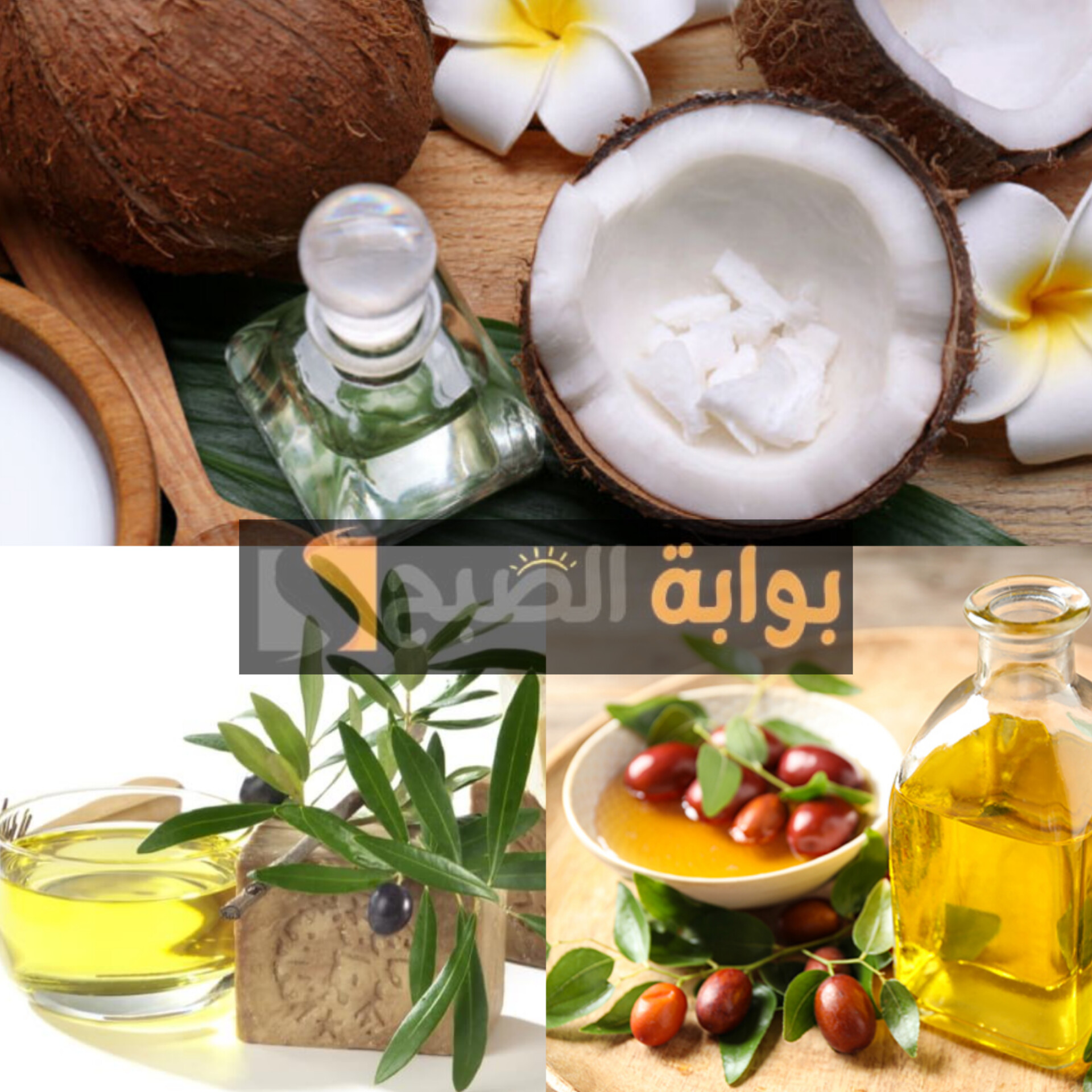 زيوت طبيعية لشعر صحي