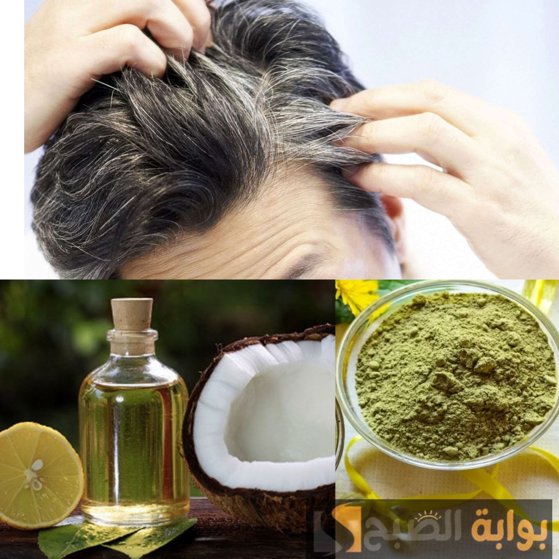التخلص من الشعر الأبيض 