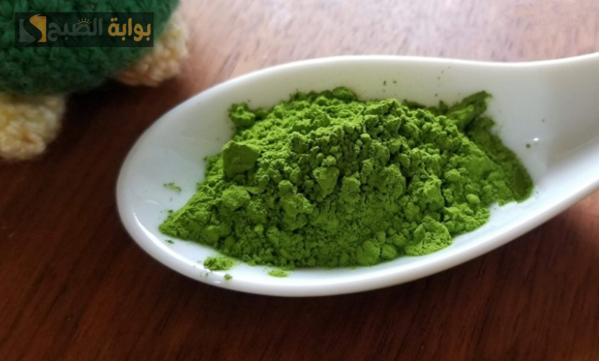 قناع السدر