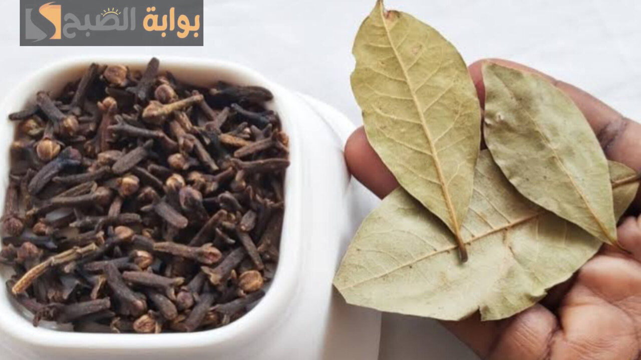 وصفة ورق الغار والقرنفل للشعر