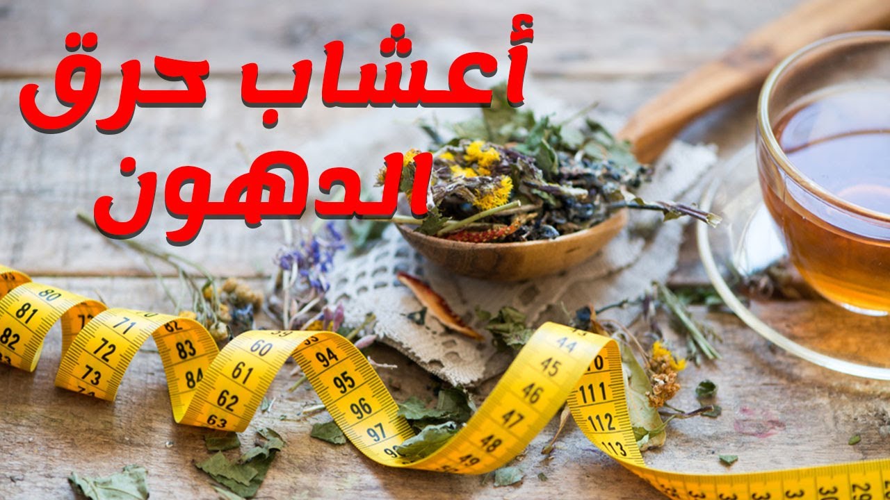 بدون رجيم خلطة العطار بـ 7 أعشاب طبيعية لإنقاص الوزن ونسف الدهون العنيدة في 3 أيام فقط