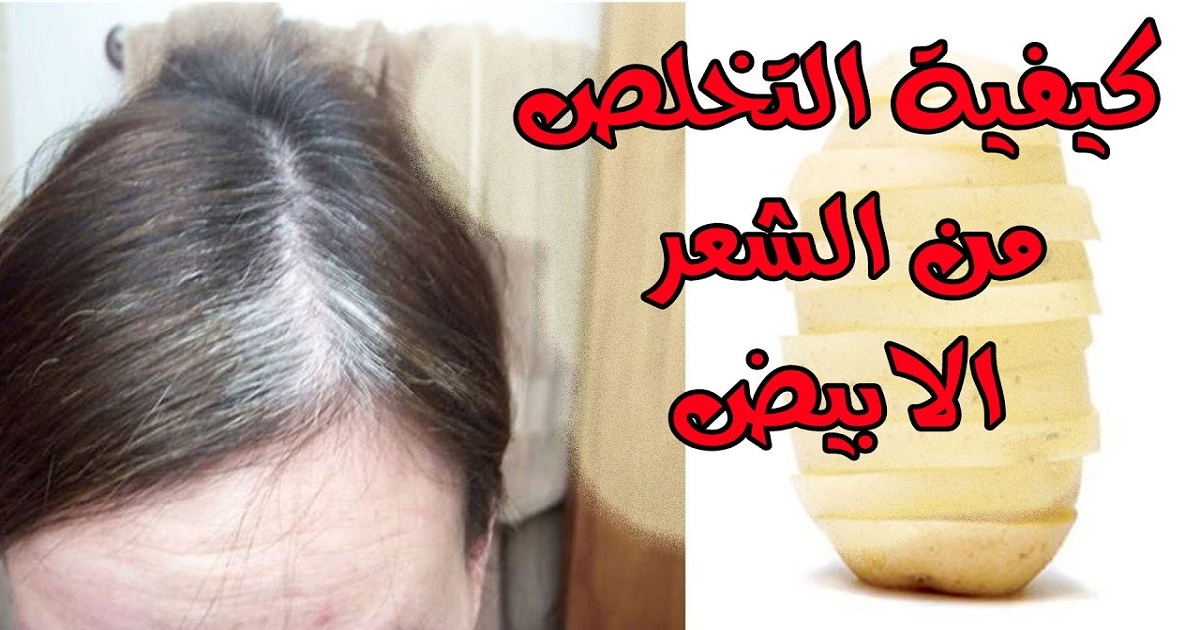 علاج الشيب بالخميرة وصفة سحرية للتخلص من الشعر الأبيض نهائياً