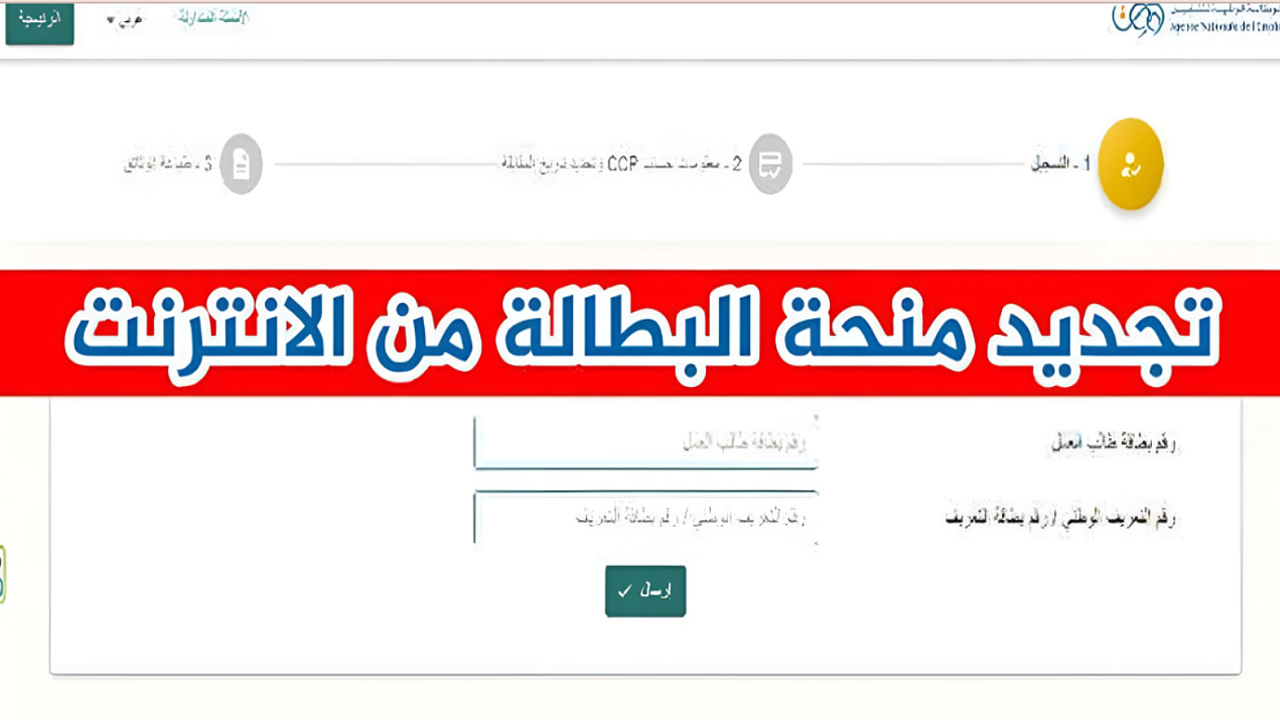 الرابط الرسمي لتجديد منحة البطالة