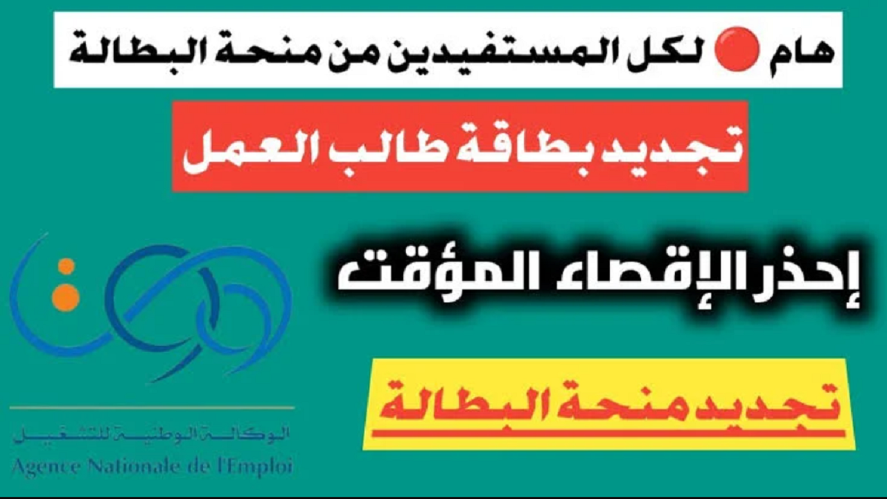 رابط تجديد منحة البطالة
