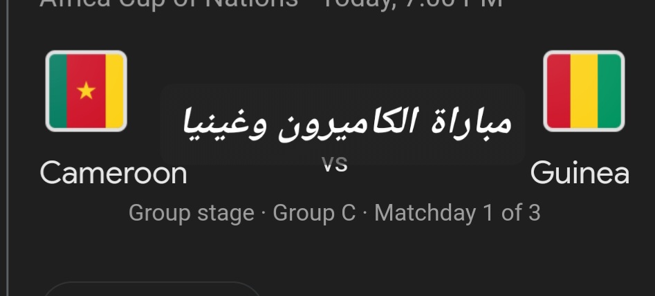 مباراة الكاميرون وغينيا