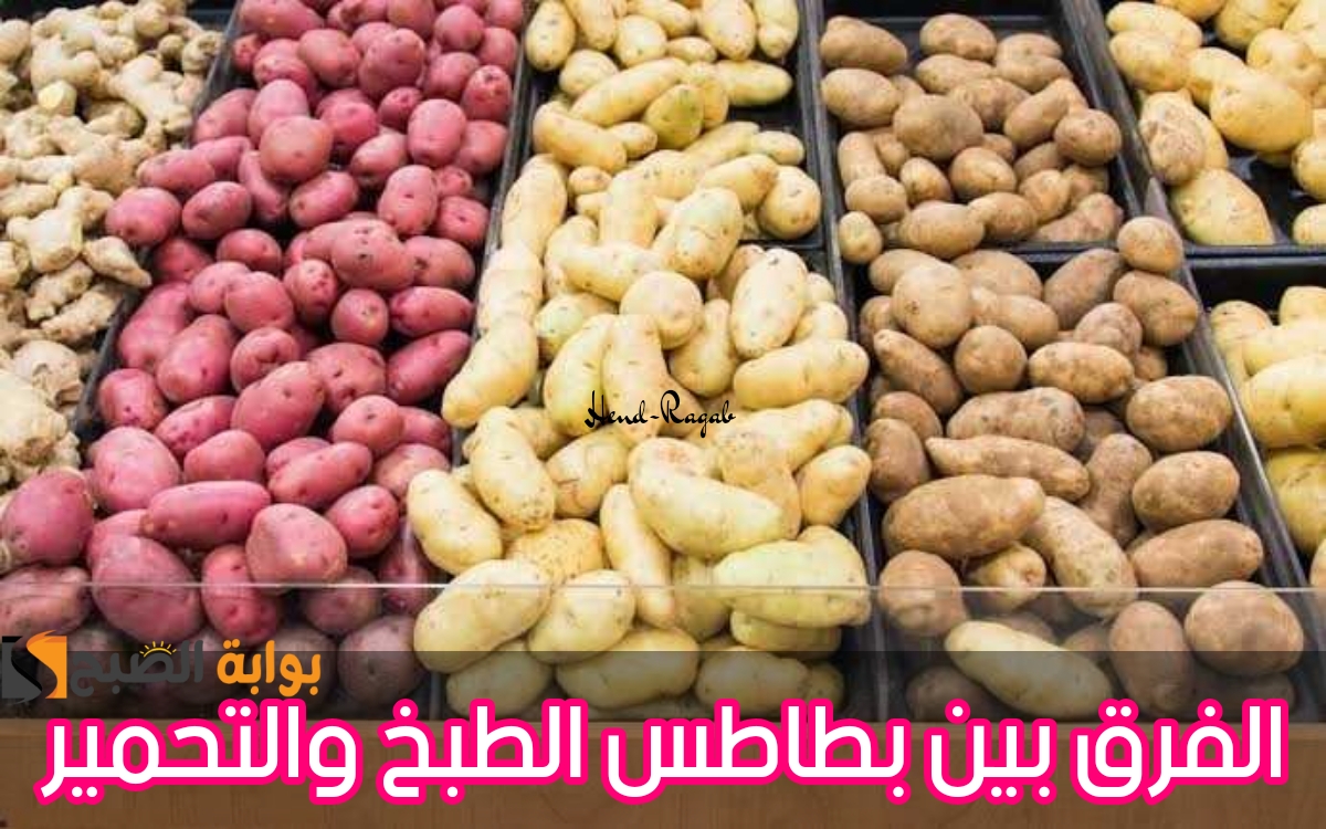 T401705818905587