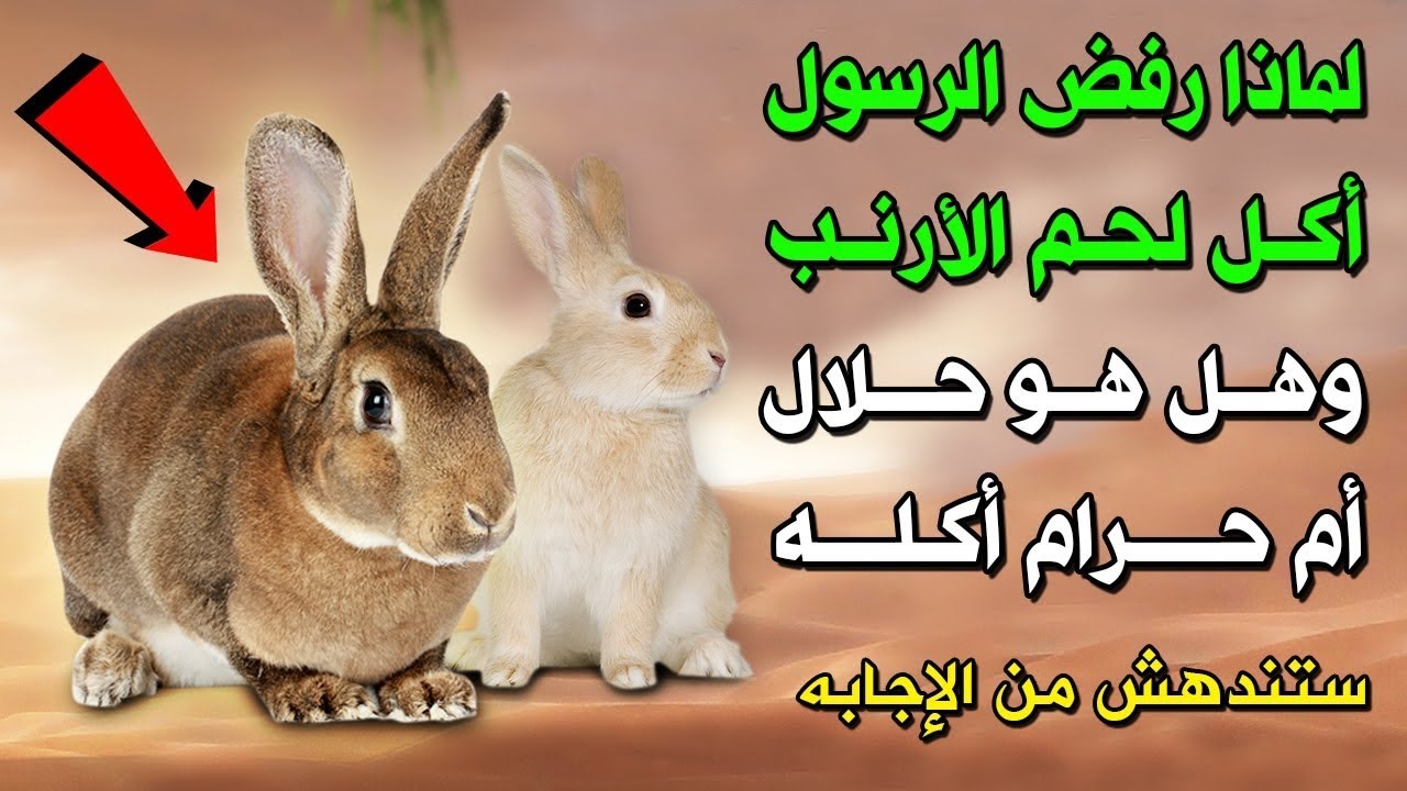 WhatsApp Image 2023 11 29 at 02.05.00 72a68448 1