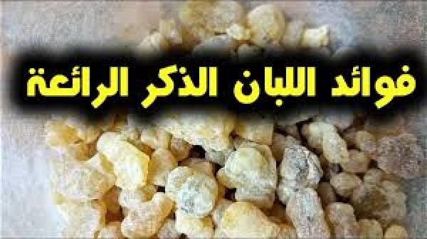 فوائد منقوع لبان الذكر يخلصك من الخشونة والقولون العصبي وحساسية الصدر والتجاعيد تعرف على طريقة الاستخدام