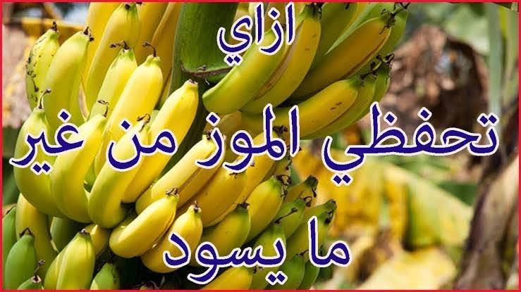 images 2024 01 03T114528.638