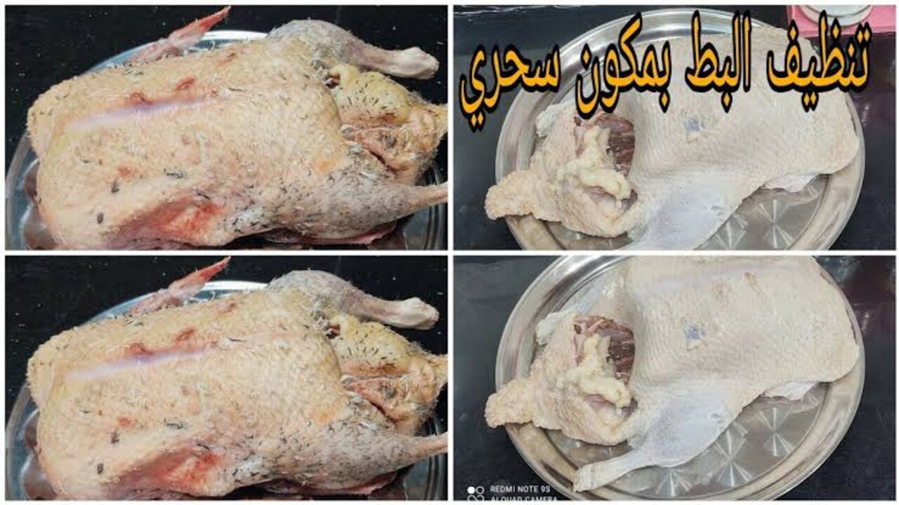 طريقة تنظيف الريش الصغير من البط