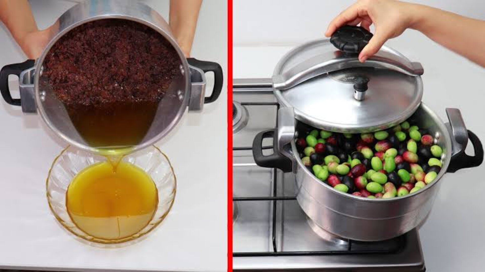 خطوات استخلاص زيت الزيتون في المنزل