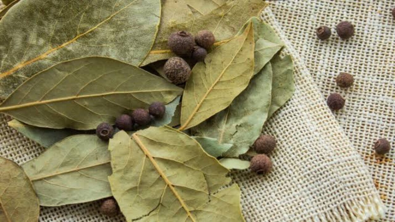 مشروب ورق الغار لخسارة الوزن