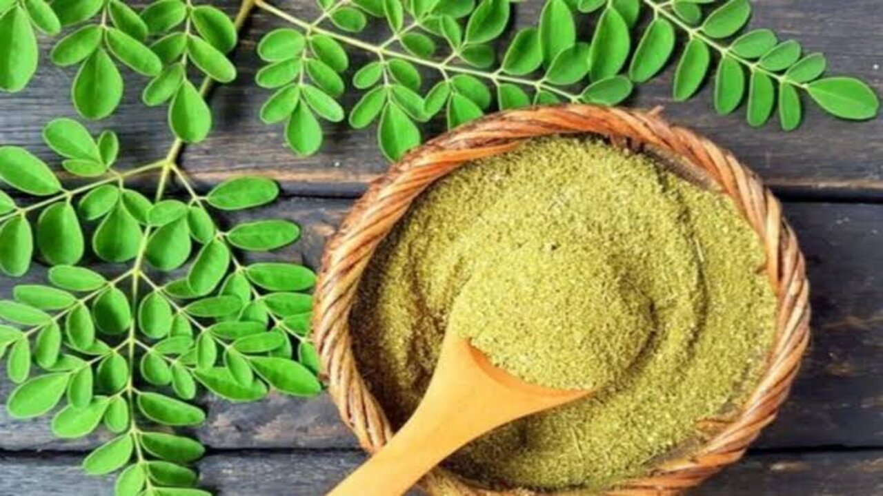وصفة عشبة المورينجا للبشرة