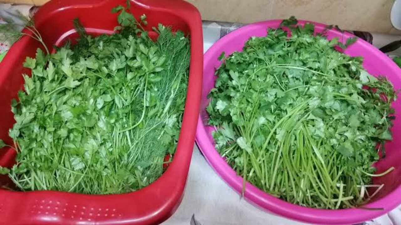 طريقة حفظ وتخزين الخضرة
