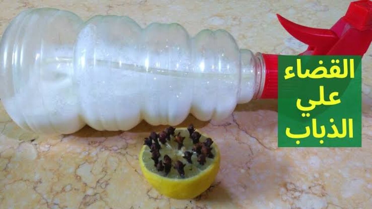 وصفة التخلص من الذباب
