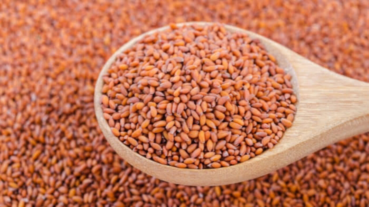 وصفة بذور الرشاد والحليب للبشرة