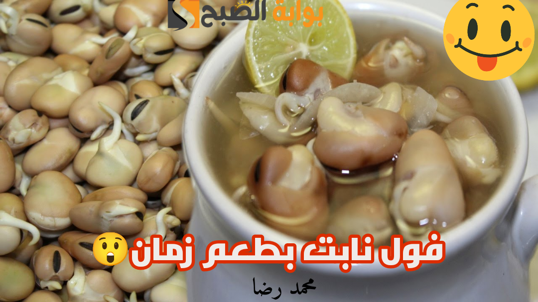 فول نابت