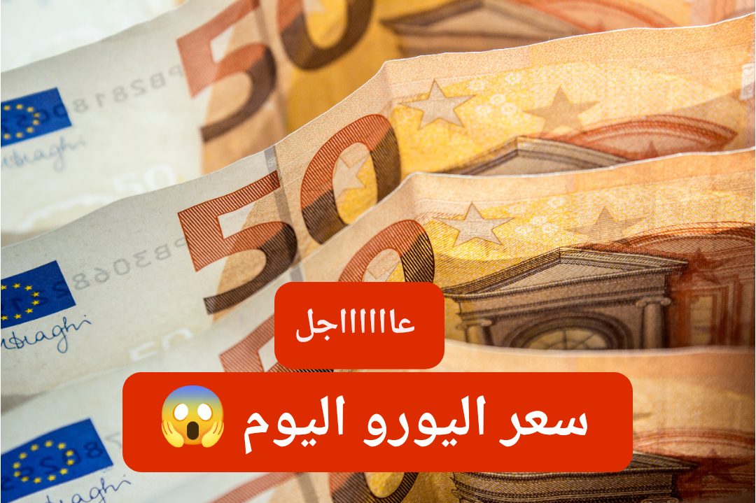 بكام الأوروبي النهاردة.. سعر اليورو اليوم مقابل الجنيه المصري في البنوك المصرية 29-1-2024.. شوف وصل كام؟! ترند بوش