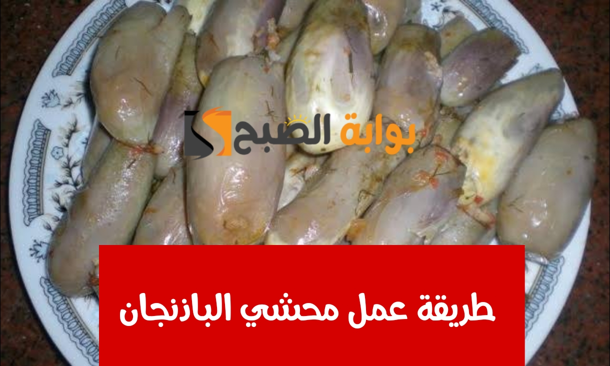طريقة عمل محشي الباذنجان