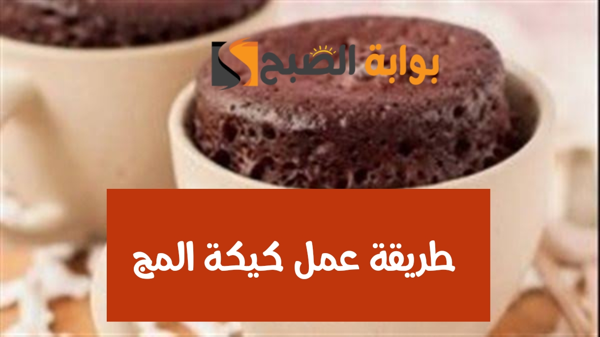 طريقة عمل كيكة المج