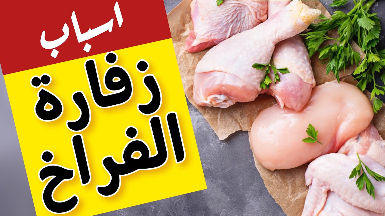 وصفة للتخلص من زفارة الدجاج