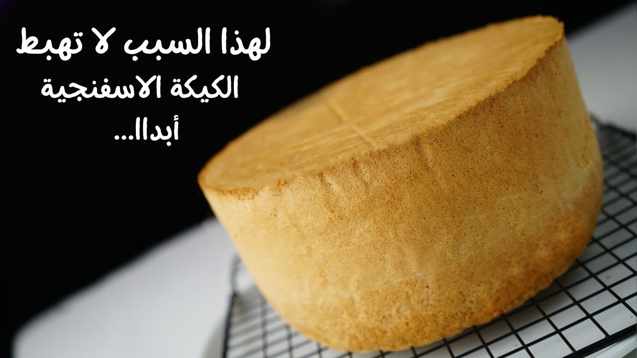 الكيكة الإسفنجية