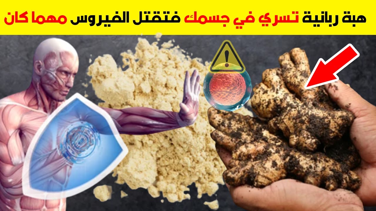 اقوي مشروب يعالج ضعف المناعة يحارب الفيروسات من أي التهاب ويقضى عليه فورا