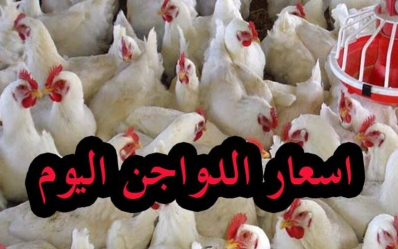 أسعار الدواجن اليوم