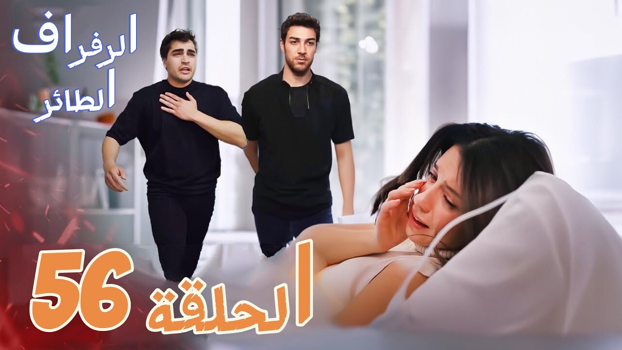 مسلسل طائر الرفراف الحلقة 56
