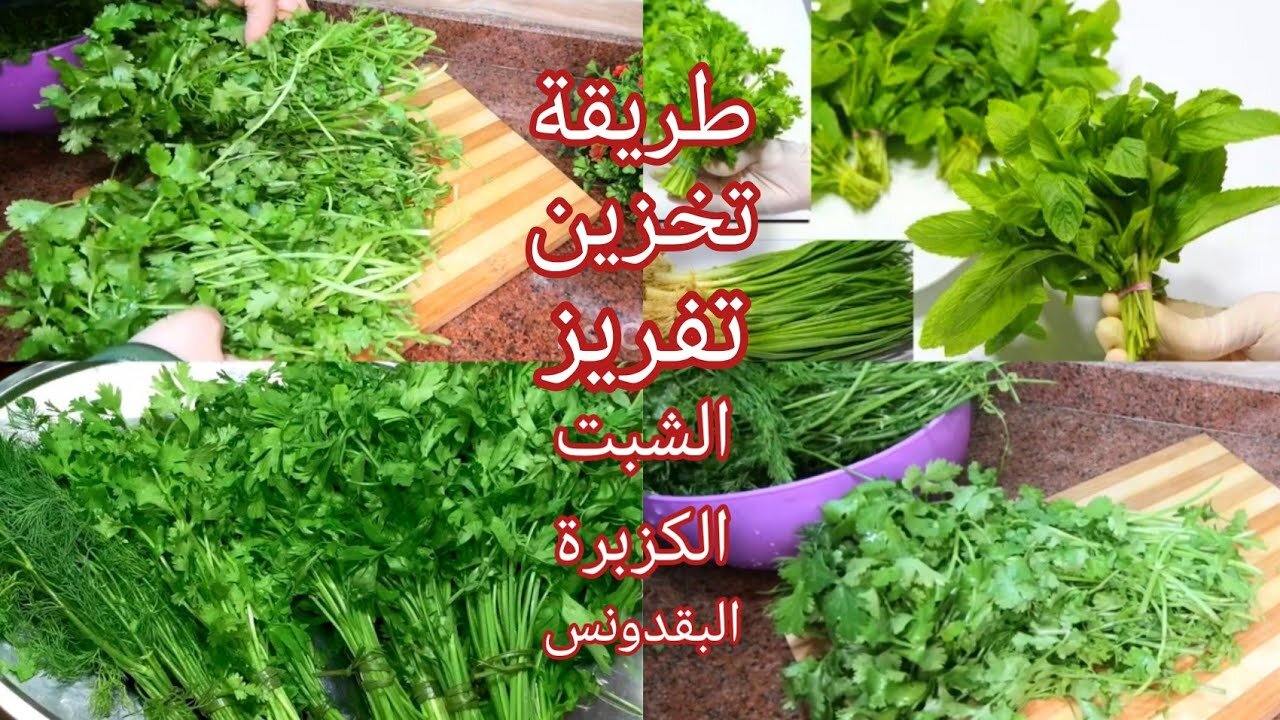 طريقة تخزين البقدونس والشبت والكزبرة