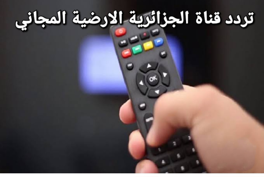 storage emulated 0 Easy Retouch IMG ٢٠٢٤٠١١٤٠٦٢٩٢٠ 1