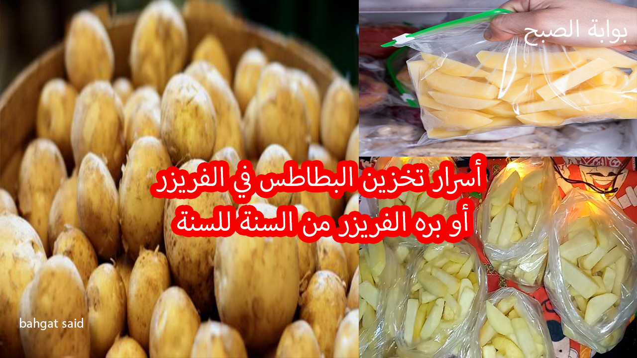 أسرار تخزين البطاطس