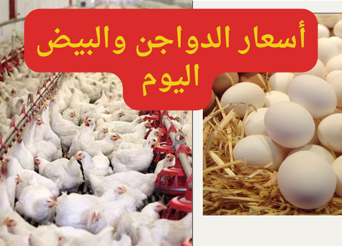 أسعار الدواجن اليوم 20240110 114634 0000