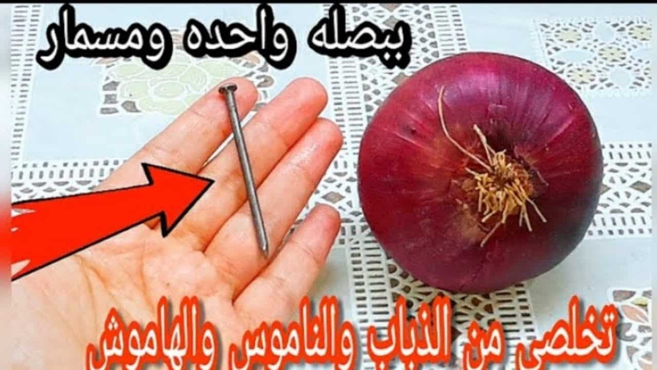 أقوي الطرق للتخلص من الحشرات