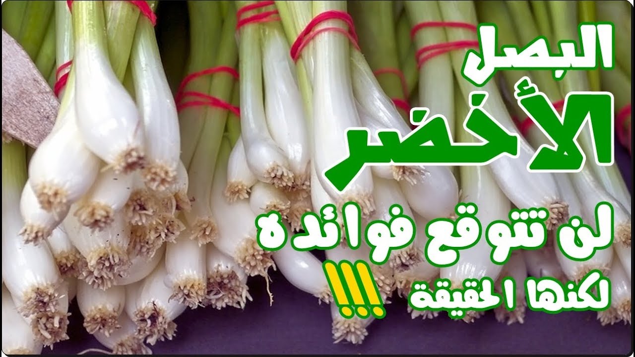 أمراض يعالجها البصل الأخضر